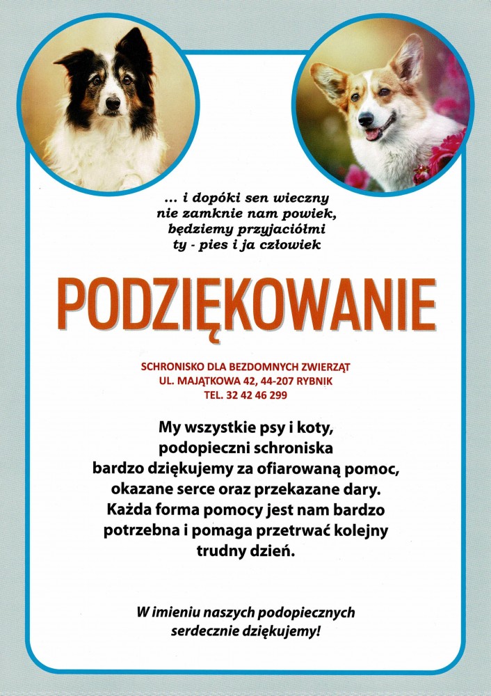 Schronisko - podziękowanie