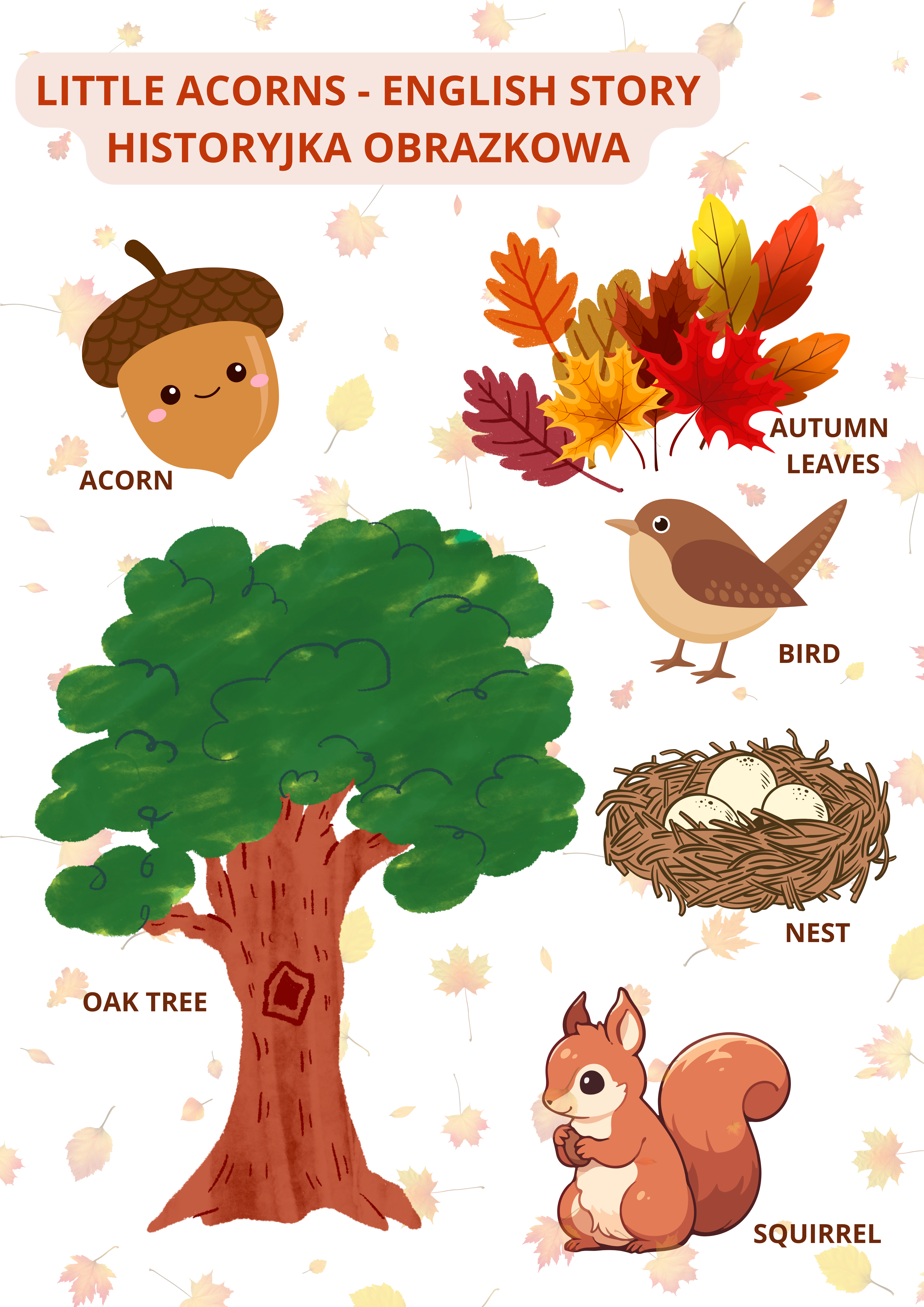 acorn